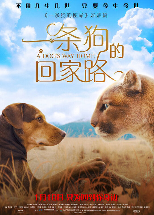 1000 piece jigsaw puzzle for the movie poster: A Dog's Way Home (2019) ver9