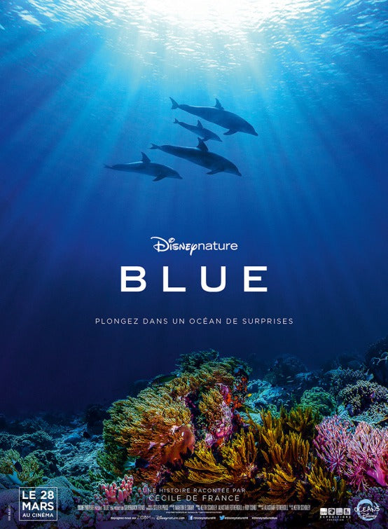 1000 piece jigsaw puzzle for the movie poster: Blue (2018)