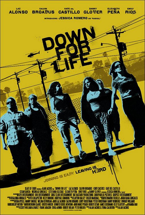 1000 piece jigsaw puzzle for the movie poster: Down for Life (2011)