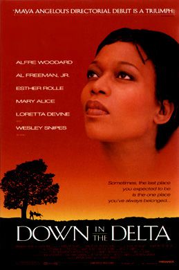 the movie poster: Down in the Delta (1998)