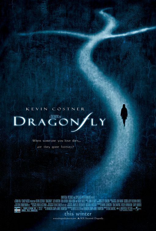 the movie poster: Dragonfly (2002)