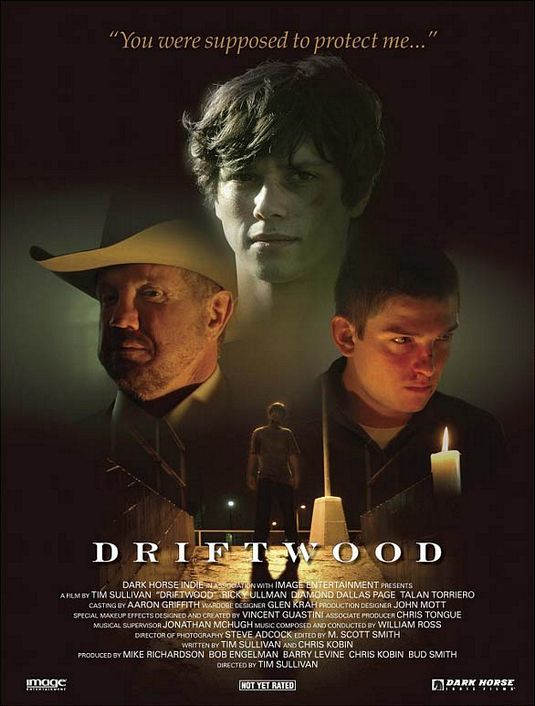 the movie poster: Driftwood (2006)