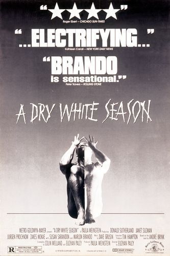 the movie poster: A Dry White Season (1989) ver1