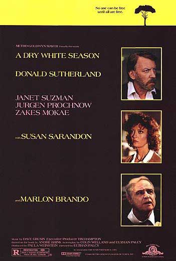 the movie poster: A Dry White Season (1989) ver2