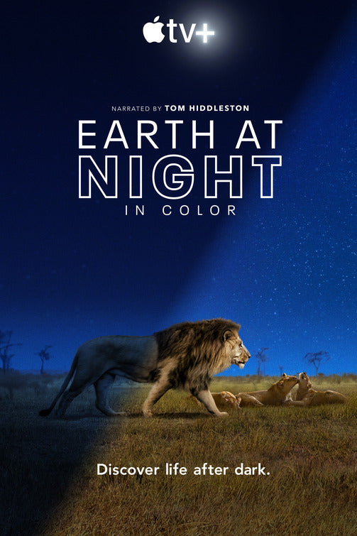 1000 piece jigsaw puzzle for tv poster: Earth at Night in Color