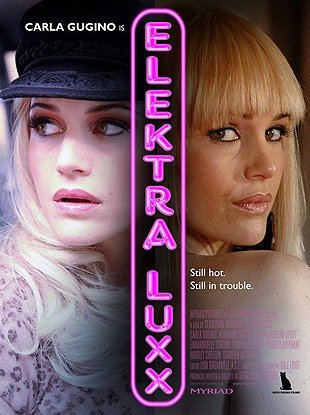 1000 piece jigsaw puzzle for the movie poster: Elektra Luxx (2011)