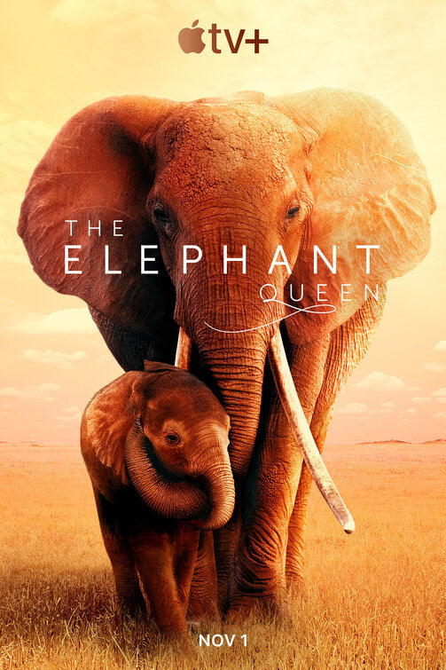 1000 piece jigsaw puzzle for tv poster: The Elephant Queen