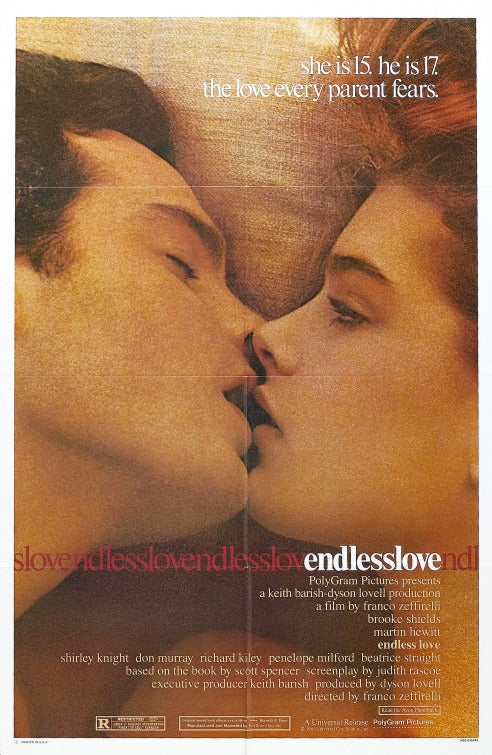 the movie poster: Endless Love (1981)