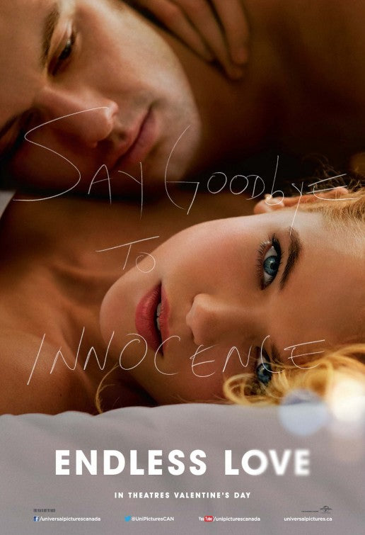 1000 piece jigsaw puzzle for the movie poster: Endless Love (2014)