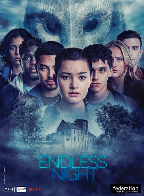 1000 piece jigsaw puzzle for tv poster: Endless Night