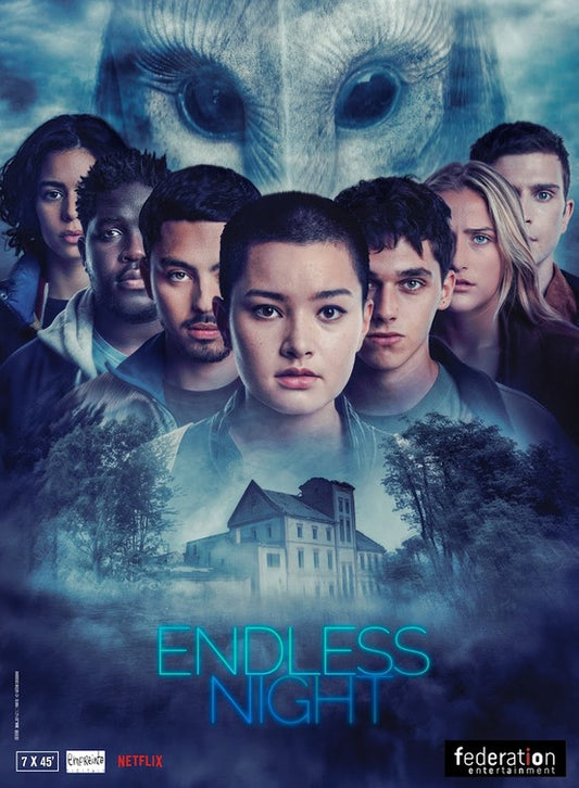 1000 piece jigsaw puzzle for tv poster: Endless Night
