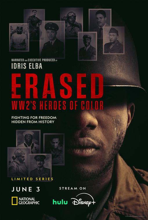 1000 piece jigsaw puzzle for tv poster: Erased: WW2's Heroes of Color