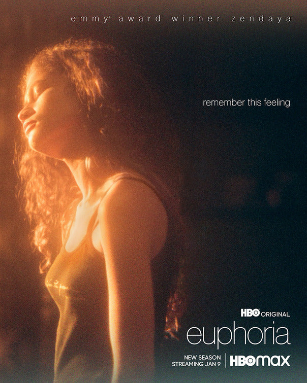 1000 piece jigsaw puzzle for tv poster: Euphoria, ver5