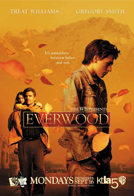 1000 piece jigsaw puzzle for tv poster: Everwood