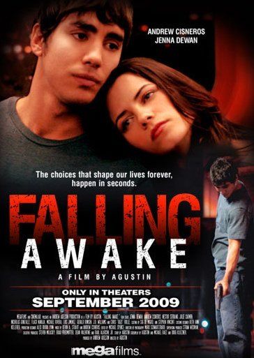 1000 piece jigsaw puzzle for the movie poster: Falling Awake (2009)