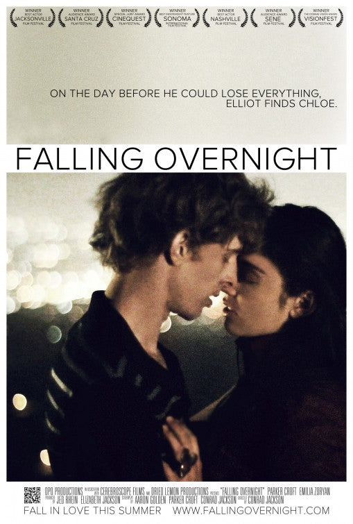 1000 piece jigsaw puzzle for the movie poster: Falling Overnight (2011)