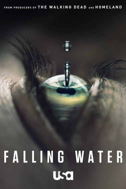 1000 piece jigsaw puzzle for tv poster: Falling Water