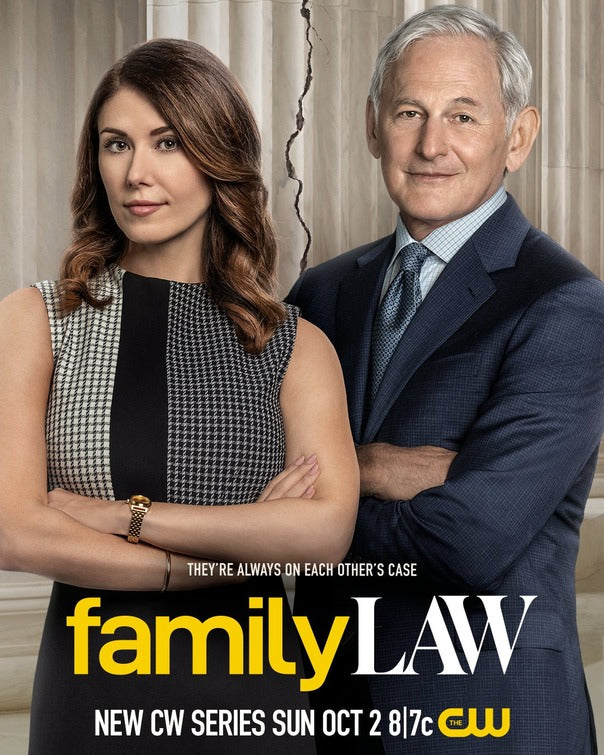 1000 piece jigsaw puzzle for tv poster: Family Law