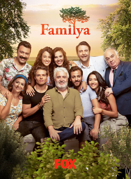 1000 piece jigsaw puzzle for tv poster: Familya