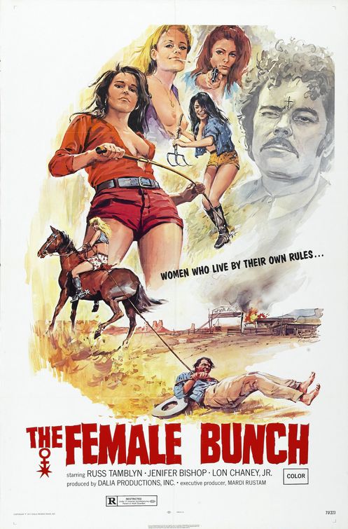 the movie poster: The Female Bunch (1971)