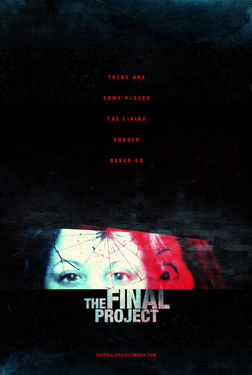 1000 piece jigsaw puzzle for the movie poster: The Final Project (2016)