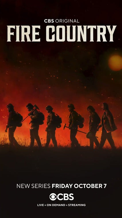 1000 piece jigsaw puzzle for tv poster: Fire Country