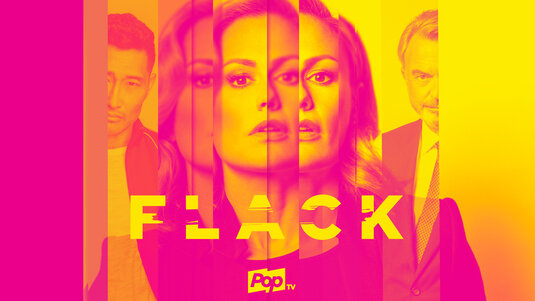 1000 piece jigsaw puzzle for tv poster: Flack, ver3