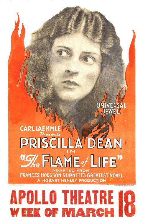 the movie poster: The Flame of Life (1923)