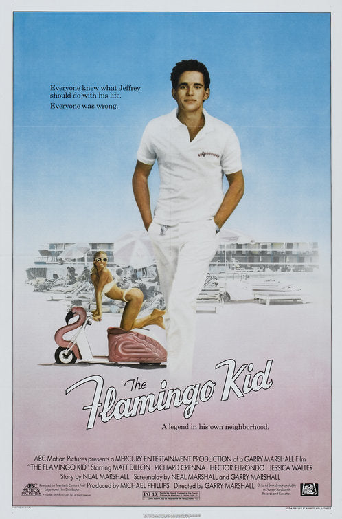 the movie poster: The Flamingo Kid (1984)