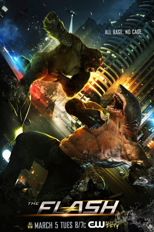 1000 piece jigsaw puzzle for tv poster: The Flash, ver34