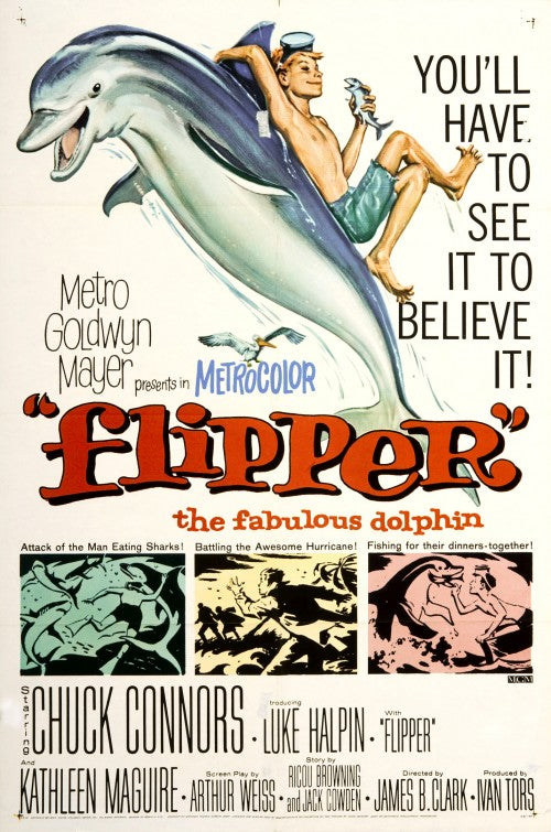 1000 piece jigsaw puzzle for the movie poster: Flipper (1963)