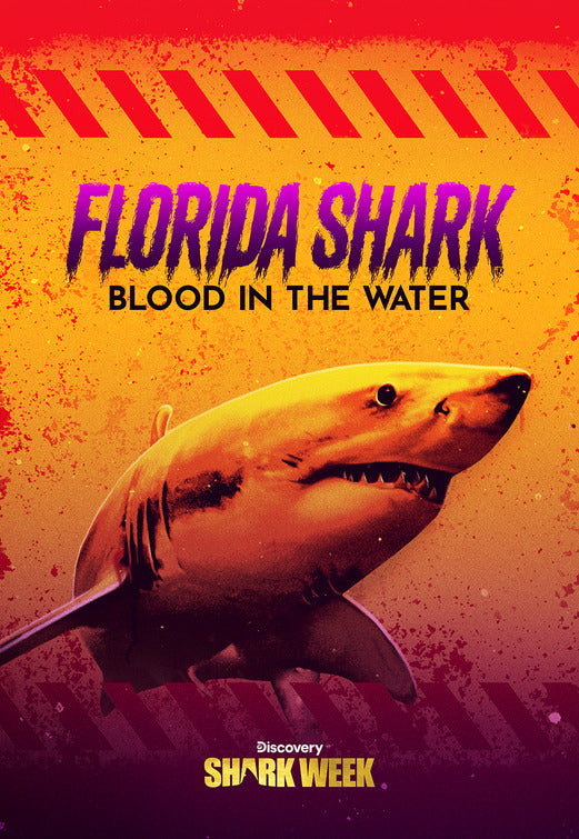 1000 piece jigsaw puzzle for tv poster: Florida Shark: Blood in the Water