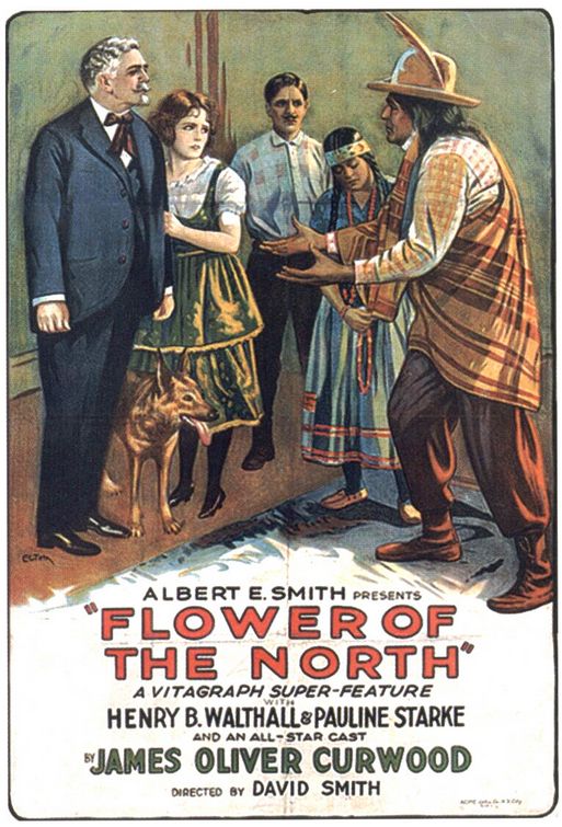 the movie poster: The Flower of the North (1921)