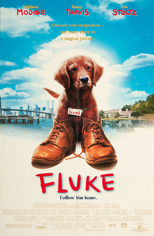 the movie poster: Fluke (1995) ver2