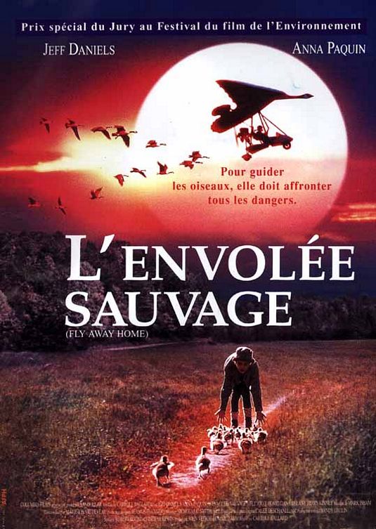 the movie poster: Fly Away Home (1996) ver2