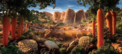 Experience the artistry of Carl Warner’s food-themed wooden puzzle with 1000 pieces, number 23