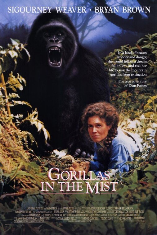 the movie poster: Gorillas in the Mist (1988) ver2