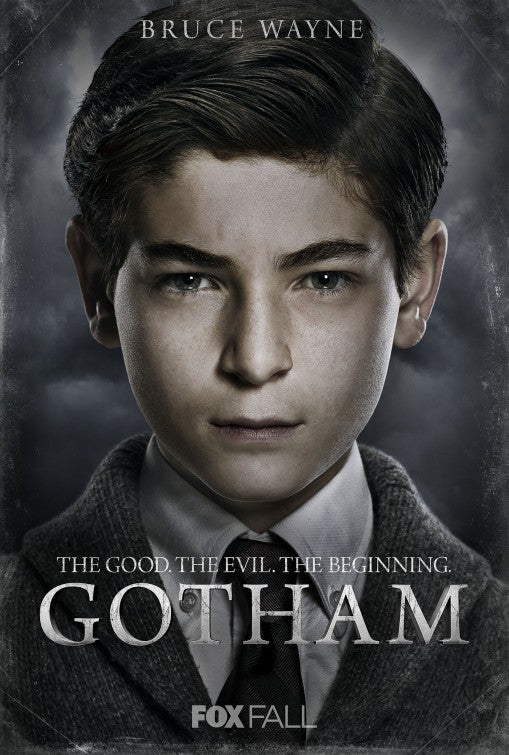 1000 piece jigsaw puzzle for tv poster: Gotham