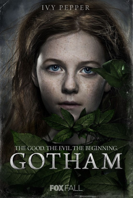 1000 piece jigsaw puzzle for tv poster: Gotham, ver6