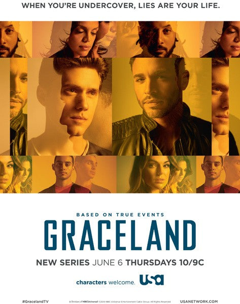 1000 piece jigsaw puzzle for tv poster: Graceland
