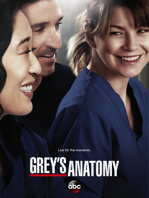 1000 piece jigsaw puzzle for tv poster: Grey's Anatomy, ver15