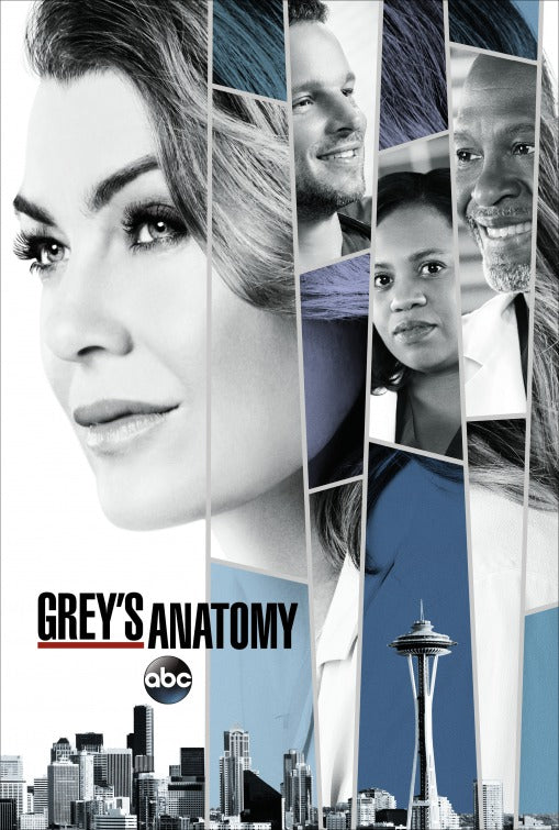 1000 piece jigsaw puzzle for tv poster: Grey's Anatomy, ver19