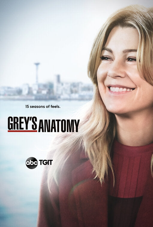 1000 piece jigsaw puzzle for tv poster: Grey's Anatomy, ver20