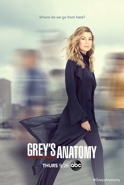1000 piece jigsaw puzzle for tv poster: Grey's Anatomy, ver21