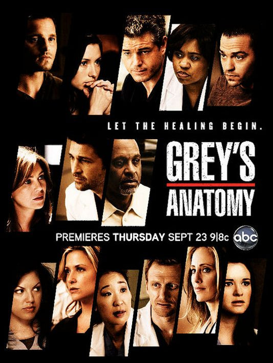 1000 piece jigsaw puzzle for tv poster: Grey's Anatomy, ver8