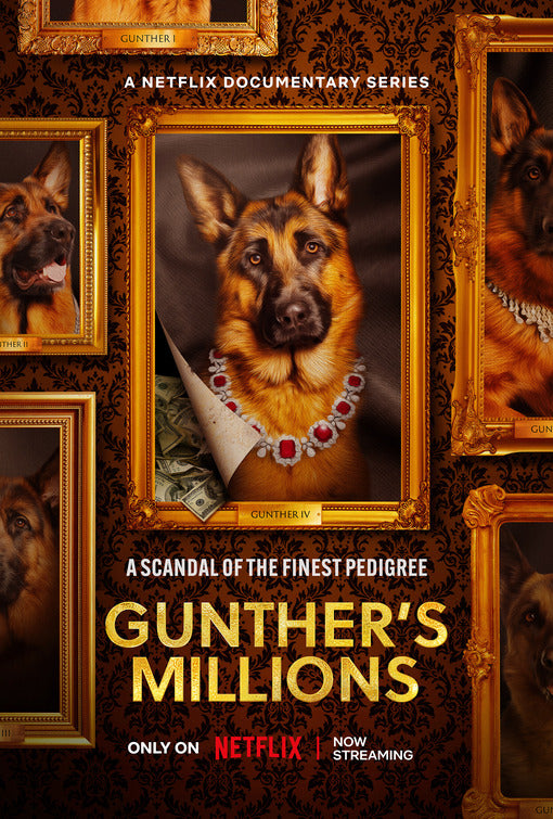 1000 piece jigsaw puzzle for tv poster: Gunther's Millions