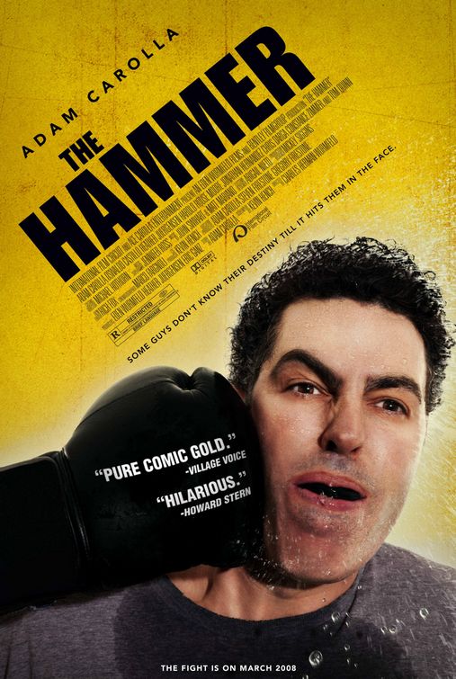the movie poster: The Hammer (2008)
