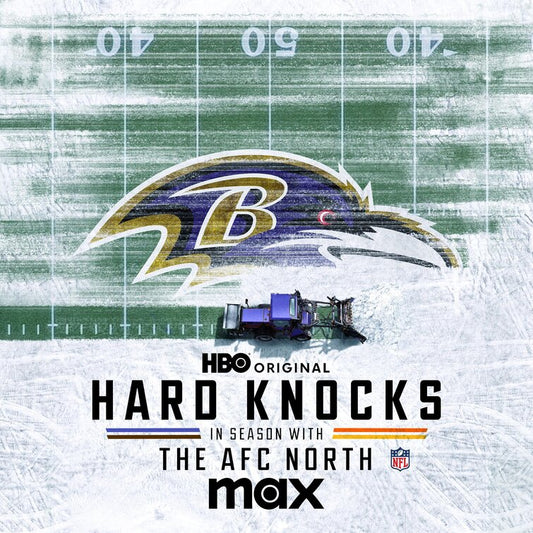 1000 piece jigsaw puzzle for tv poster: Hard Knocks: In Season with the AFC North, ver2