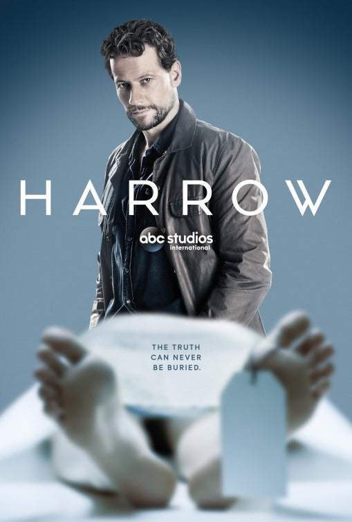 1000 piece jigsaw puzzle for tv poster: Harrow