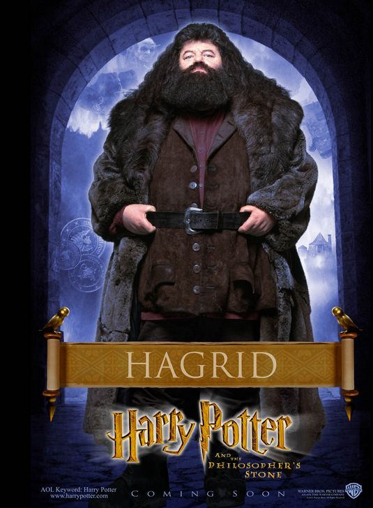 the movie poster: Harry Potter and the Sorcerer's Stone (2001) ver8